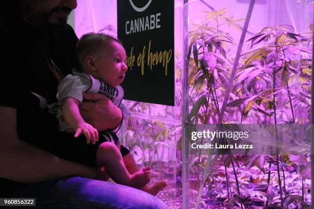 Three months baby child Antonio and his father attend the Indica Sativa Trade at Unipol Arena on May 20, 2018 in Bologna, Italy. The 6th Italian...