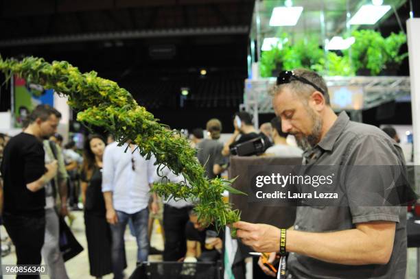 People attend the Indica Sativa Trade at Unipol Arena on May 20, 2018 in Bologna, Italy. The 6th Italian exhibition is dedicated to the many uses of...