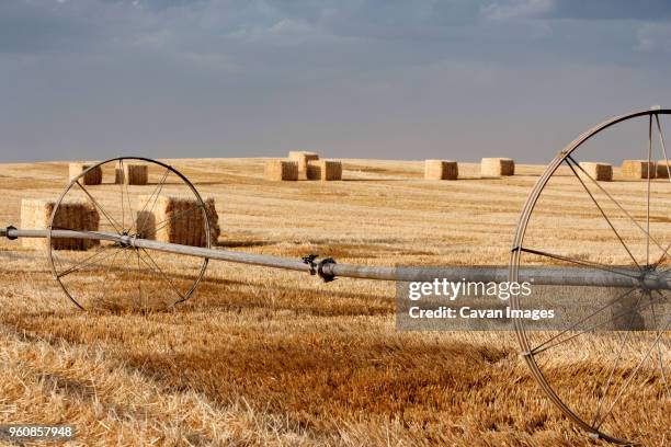 65 Hay Rack Stock Photos, High-Res Pictures, and Images - Getty Images