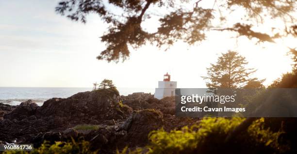 brockton point lighthouse on rocky shore against clear sky - puerto de coal fotografías e imágenes de stock