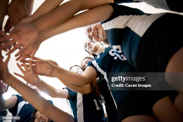 low angle view of teenage girls huddling in court - talent team coaching stock-fotos und bilder