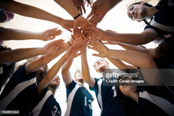 low angle view of female volleyball sports team huddling - briefing stockfoto's en -beelden