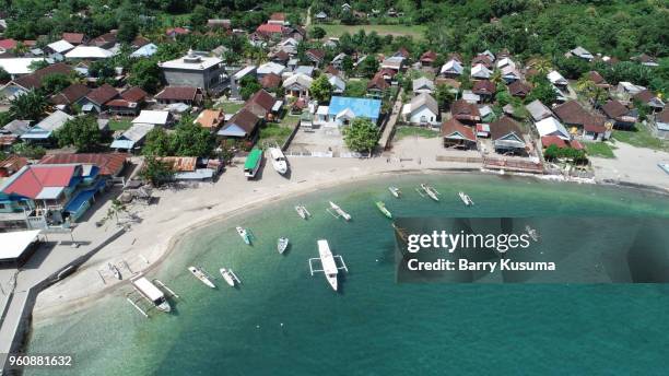 moyo island sumbawa. - sumbawa stockfoto's en -beelden