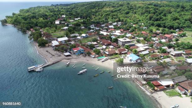 moyo island sumbawa. - sumbawa foto e immagini stock