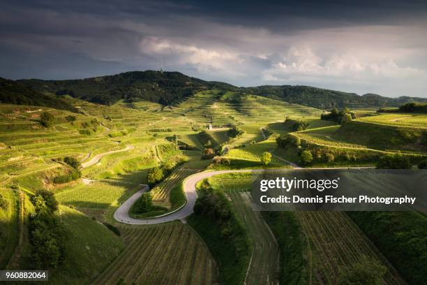 germany summer landscape during sunset - freiburg im breisgau stock-fotos und bilder