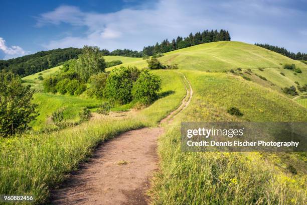 german summer landscape - trail stockfoto's en -beelden