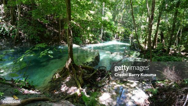 moyo island sumbawa. - sumbawa stockfoto's en -beelden