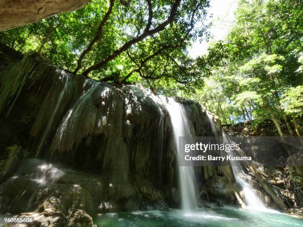 moyo island sumbawa. - sumbawa stockfoto's en -beelden