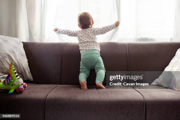 baby girl looking through window while standing on sofa at home - back cushion stock pictures, royalty-free photos & images