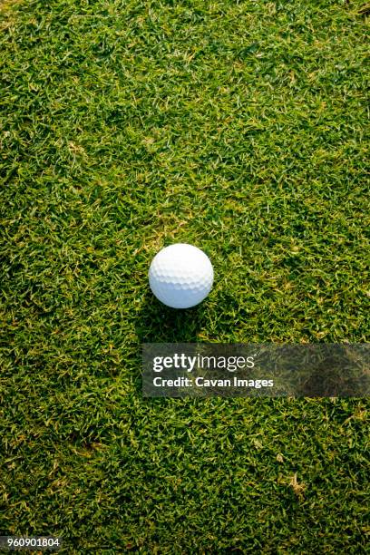 high angle view of golf ball on grass - golf ball stock pictures, royalty-free photos & images