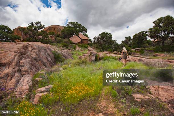 rear view of woman walking on field - hill country stock pictures, royalty-free photos & images