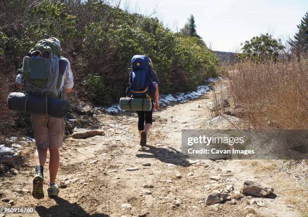 rear view of hikers with backpacks walking on dirt road at pisgah national forest - pisgah national forest stock pictures, royalty-free photos & images