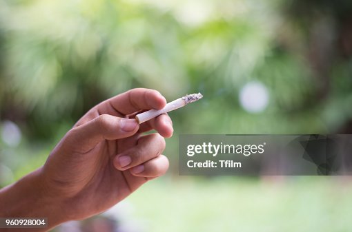 how much do cigarette boats cost Cigarette boats for sale