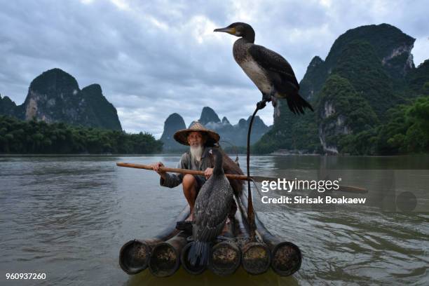 fisherman of guilin, li river - xingping stock pictures, royalty-free photos & images