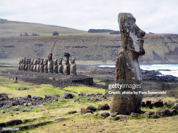 wide angle view of moai statues at ahu tongariki on rapa nui - ahu tongariki stockfoto's en -beelden