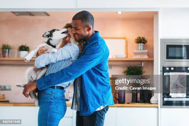 affectionate multi-ethnic couple playing with siberian husky at home - husky imagens e fotografias de stock