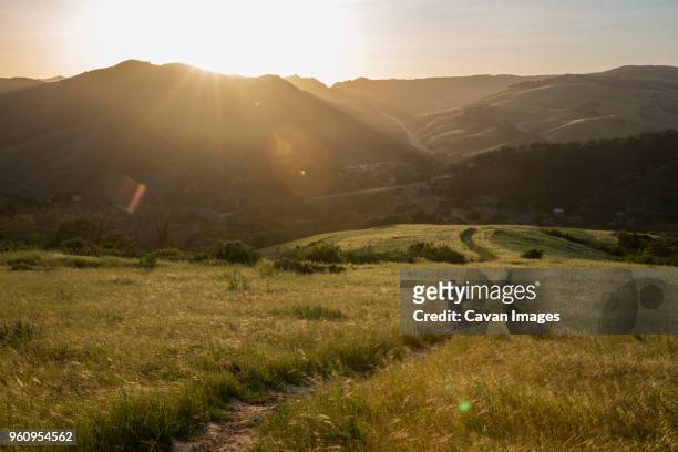 high angle view of man on trail amidst grassy field against mountains during sunset - gaivota stock pictures, royalty-free photos & images