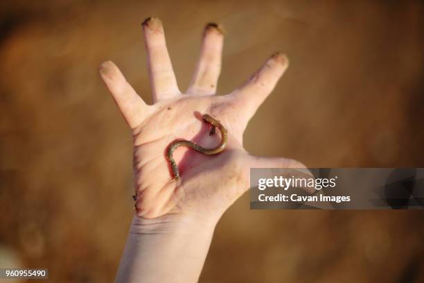 overhead view of boy holding earthworm at field - child and unusual angle stock pictures, royalty-free photos & images