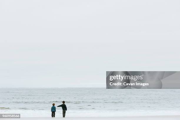 rear view of brothers standing at beach against sky - hingham imagens e fotografias de stock