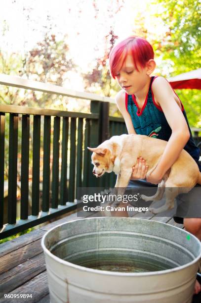 boy putting puppy in water on porch - wash bowl stockfoto's en -beelden