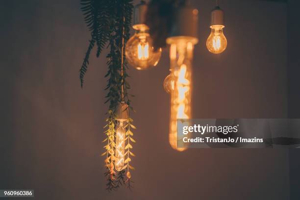 light bulb, filament - filament stock-fotos und bilder
