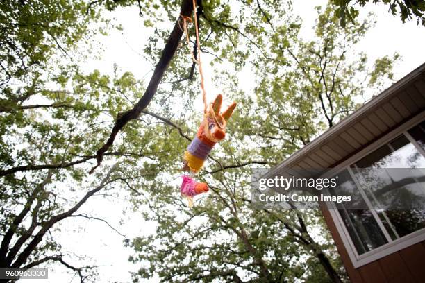 pinata hanging from tree - pinata stock pictures, royalty-free photos & images