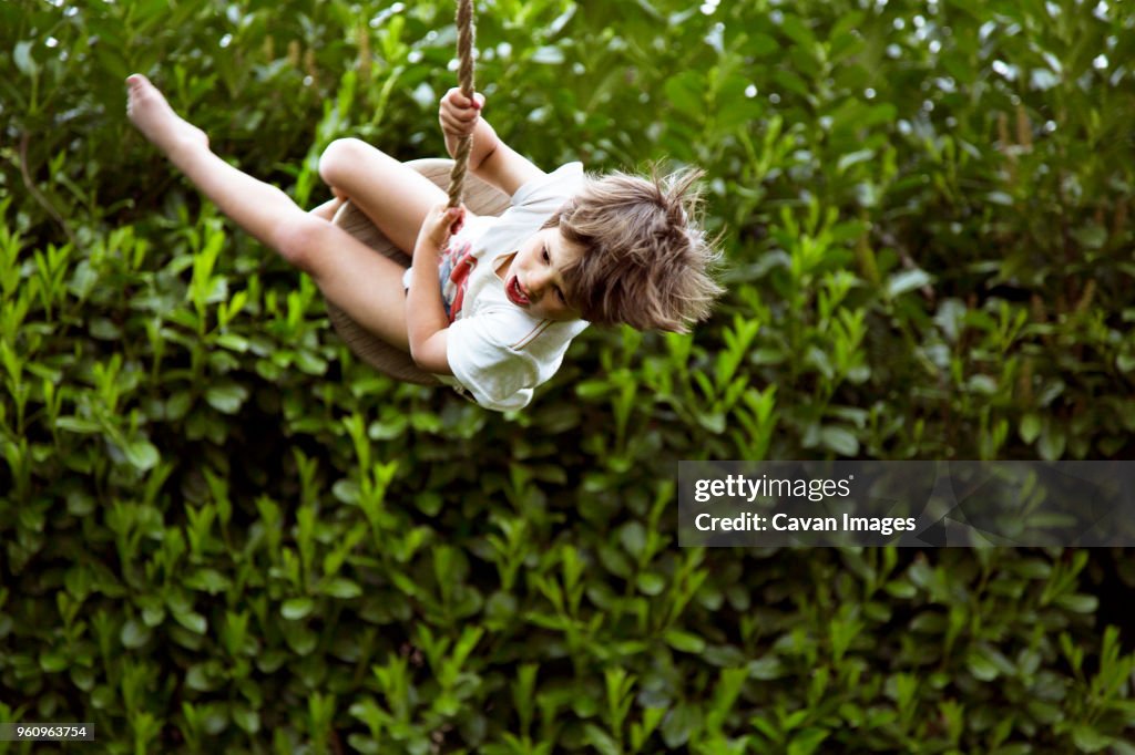 Happy boy swinging in garden