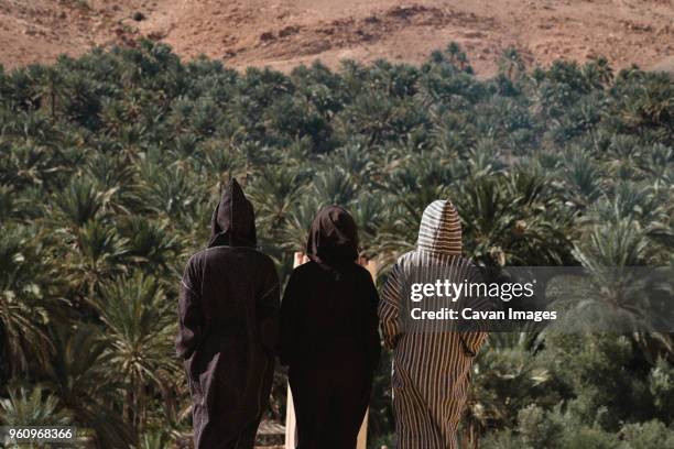 rear view of friends wearing djellabas while standing against palm trees at desert - north africa photos et images de collection