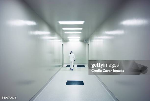 Lab Walk Way 56,801 Walking Corridor Lab Stock Photos, High-Res Pictures, and Images ...