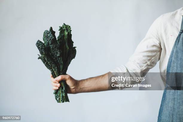 midsection of man holding kale while standing against white wall at home - kale stock pictures, royalty-free photos & images