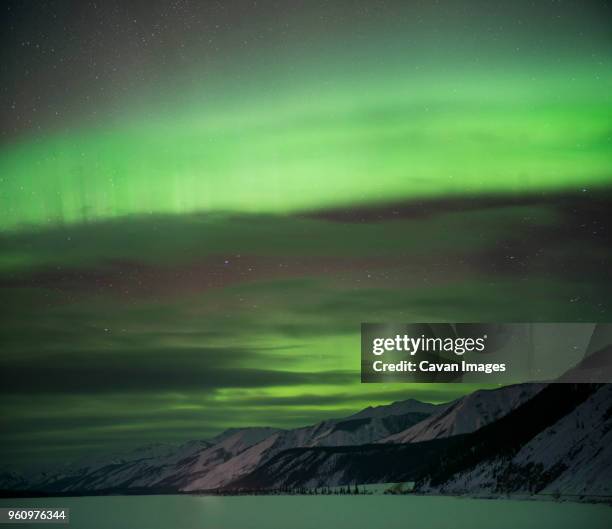 scenic view of snowcapped mountains against aurora borealis at northern rocky mountains provincial park - whitehorse - fotografias e filmes do acervo