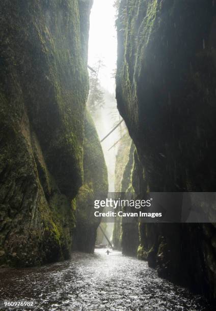distant view of hiker at oneonta gorge - columbia river gorge stock pictures, royalty-free photos & images