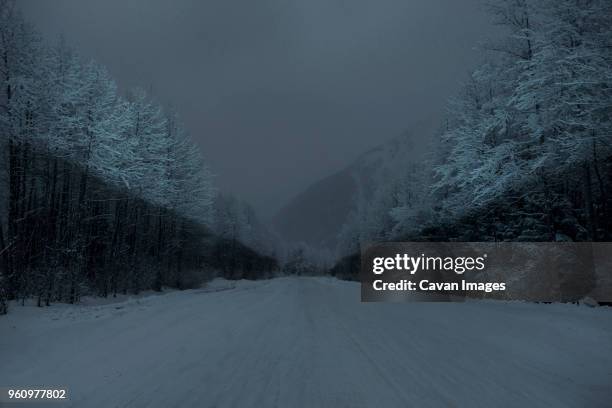 snow covered road by trees against sky during night - snow covered road stockfoto's en -beelden