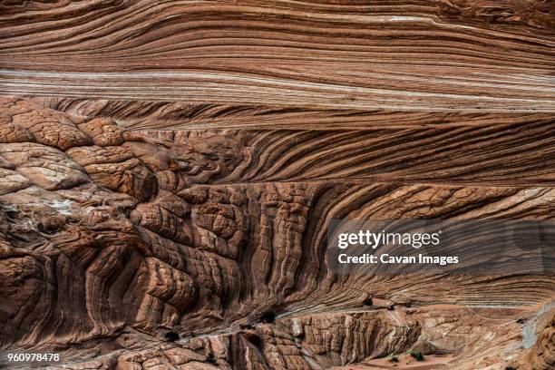 tranquil view of pattern on marble canyon - marble canyon foto e immagini stock