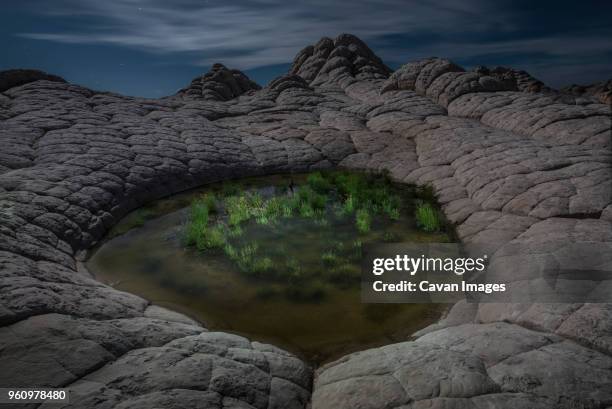 high angle view of pond amidst marble canyon - marble canyon foto e immagini stock