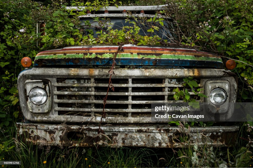 Abandoned car on field in forest