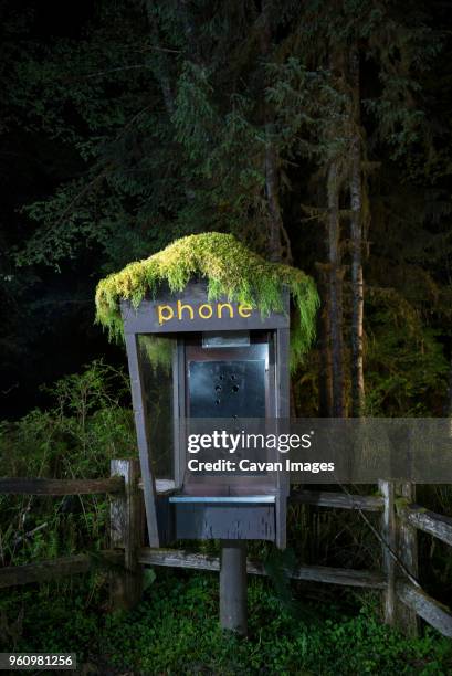 abandoned telephone booth in forest at night - telefonzelle stock-fotos und bilder