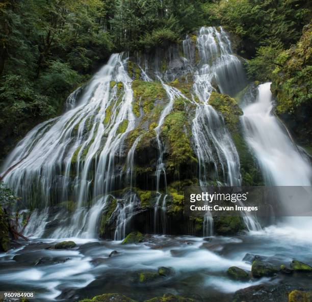 low angle view of waterfall at gifford pinchot national forest - gifford pinchot national forest stock pictures, royalty-free photos & images