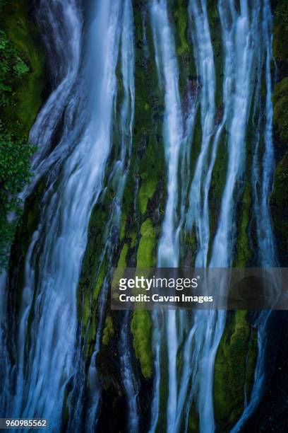 scenic view of cougar falls at gifford pinchot national forest - gifford pinchot national forest stock pictures, royalty-free photos & images