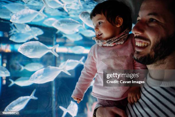 father and daughter looking at fish swimming in aquarium - aquarium stockfoto's en -beelden