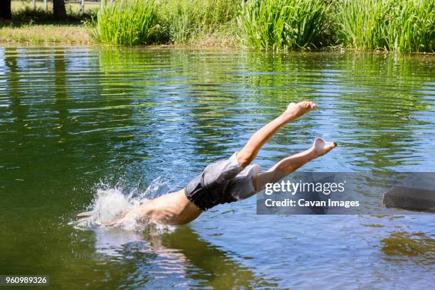 boy diving into lake - hopptorn bildbanksfoton och bilder