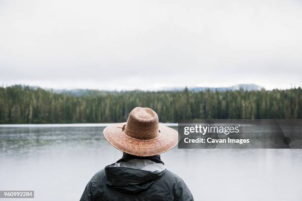 man looking at view - gifford pinchot national forest stock pictures, royalty-free photos & images