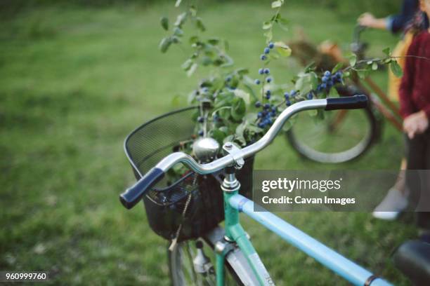 blueberries with twigs in bicycle basket against mother and son on field - bicycle basket stock pictures, royalty-free photos & images