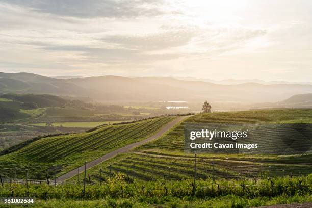 scenic view of farm and mountains against sky - solvang stock pictures, royalty-free photos & images