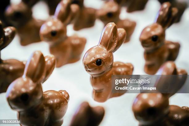 high angle close-up of rabbit shaped chocolates on table at factory - fábrica-de-chocolate fotografías e imágenes de stock