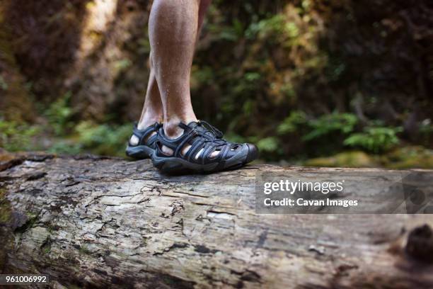 low section of man walking on log in forest - sandal stock pictures, royalty-free photos & images