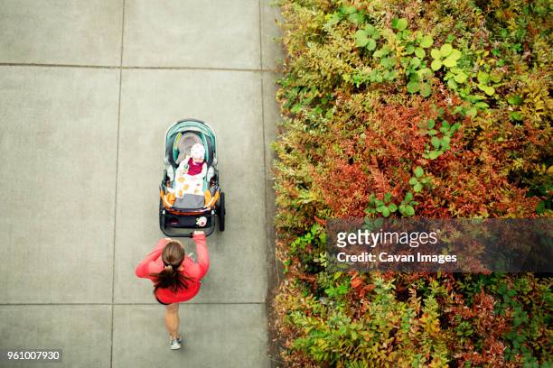 overhead view of woman running while holding baby stroller in park - carriage stock pictures, royalty-free photos & images