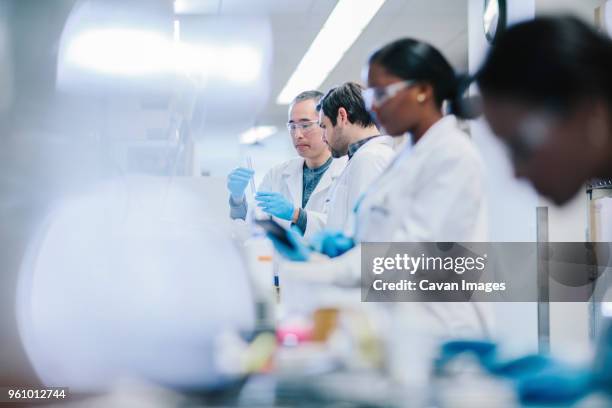 doctors examining test tubes in laboratory - medical research group stock pictures, royalty-free photos & images