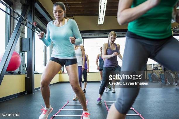 instructor with women jumping over agility ladder in gym - agility ladder ストックフォトと画像