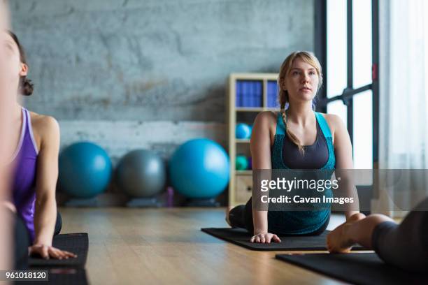 women practicing upward facing dog position in gym - yoga studio stock pictures, royalty-free photos & images